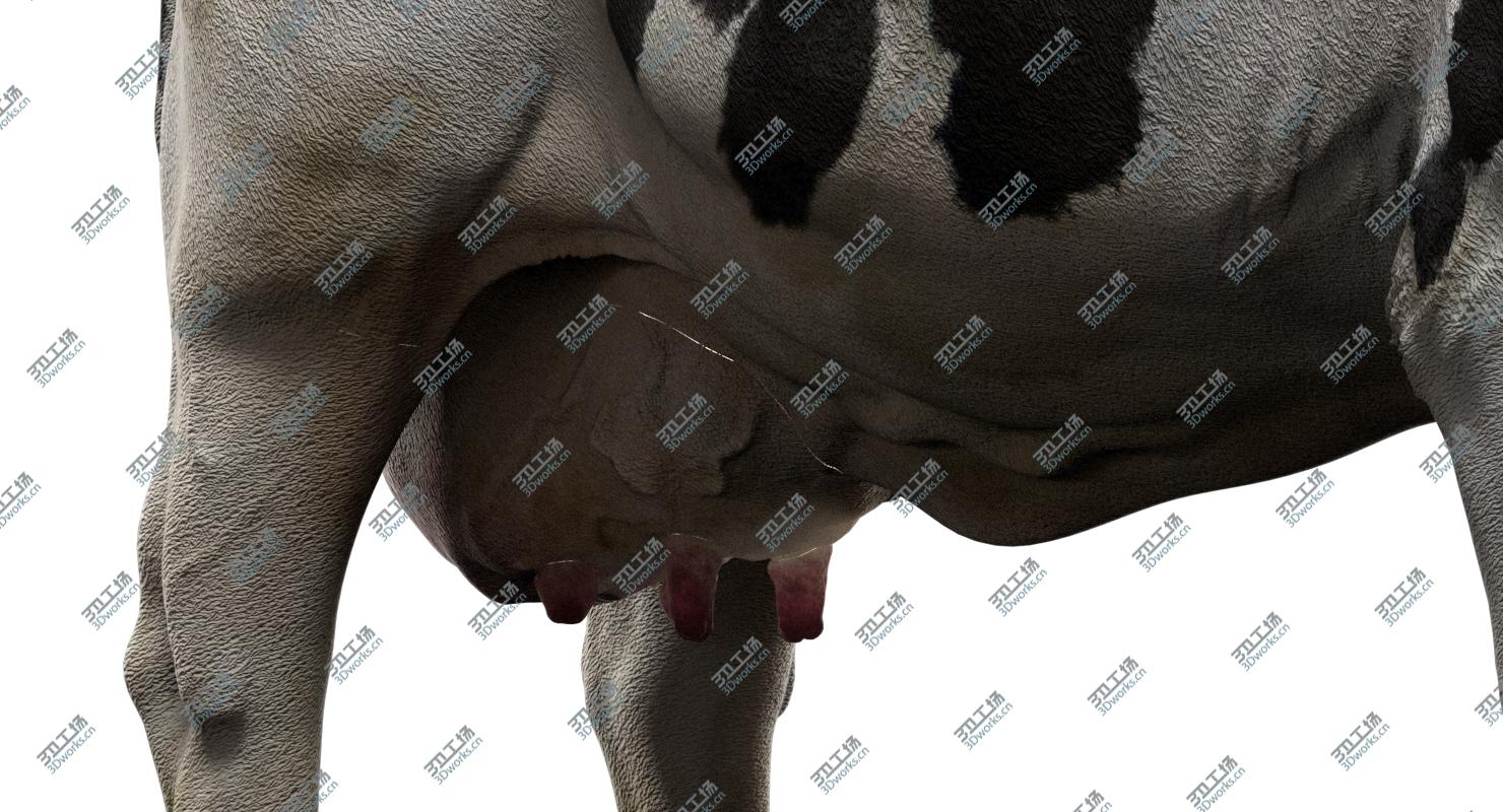 images/goods_img/20210313/Dairy Cow (NoFur) (Rigged) 3D model/5.jpg